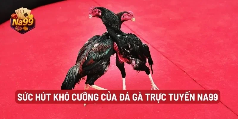 Sức hút khó cưỡng của đá gà trực tuyến Na99
